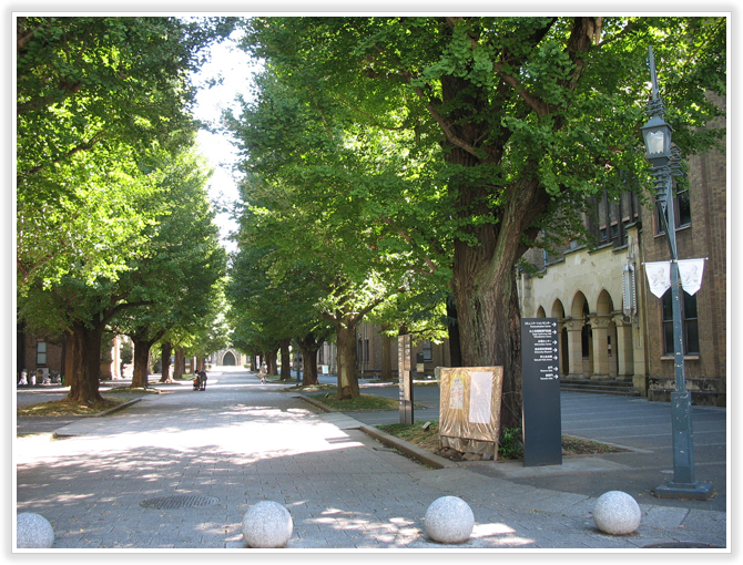 東京大学