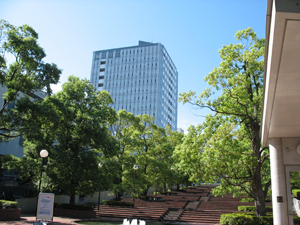 東洋大学