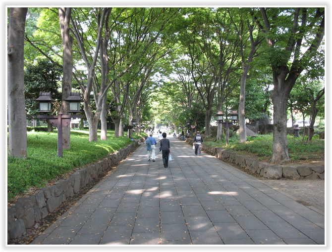 氷川神社参道