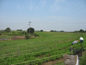 荒川土手