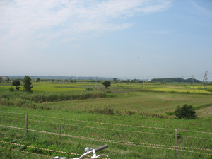 荒川土手