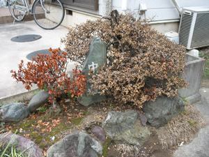 植え込みの中山道